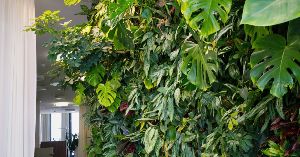 living walls What is a Living Wall? Discover the Benefits and Types of Green Wall Installations